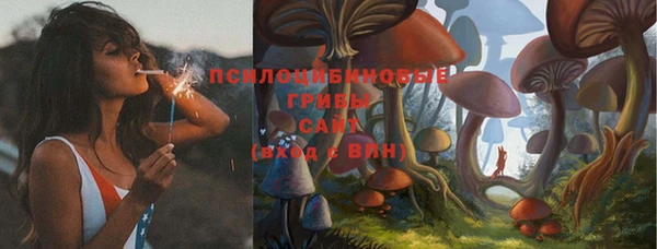 ПСИЛОЦИБИНОВЫЕ ГРИБЫ Магадан